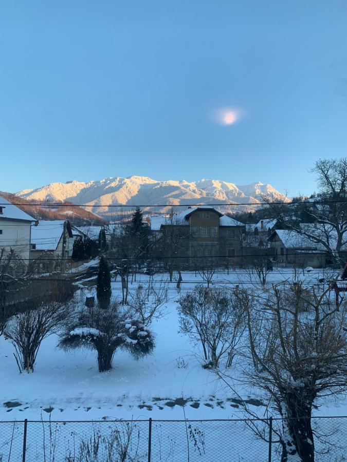 Vila Codreanu Бран Екстер'єр фото