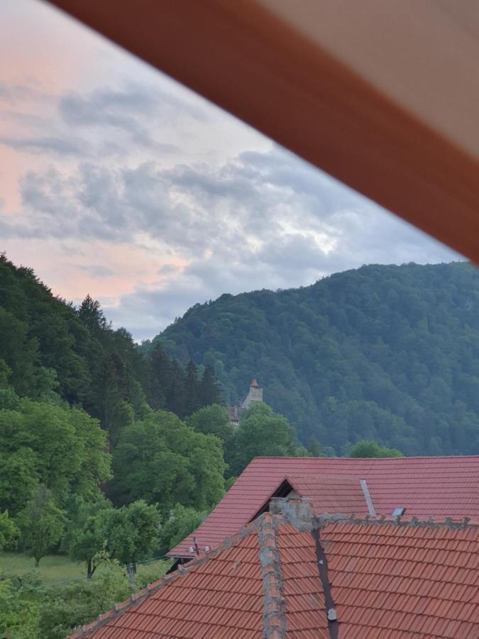 Vila Codreanu Бран Екстер'єр фото