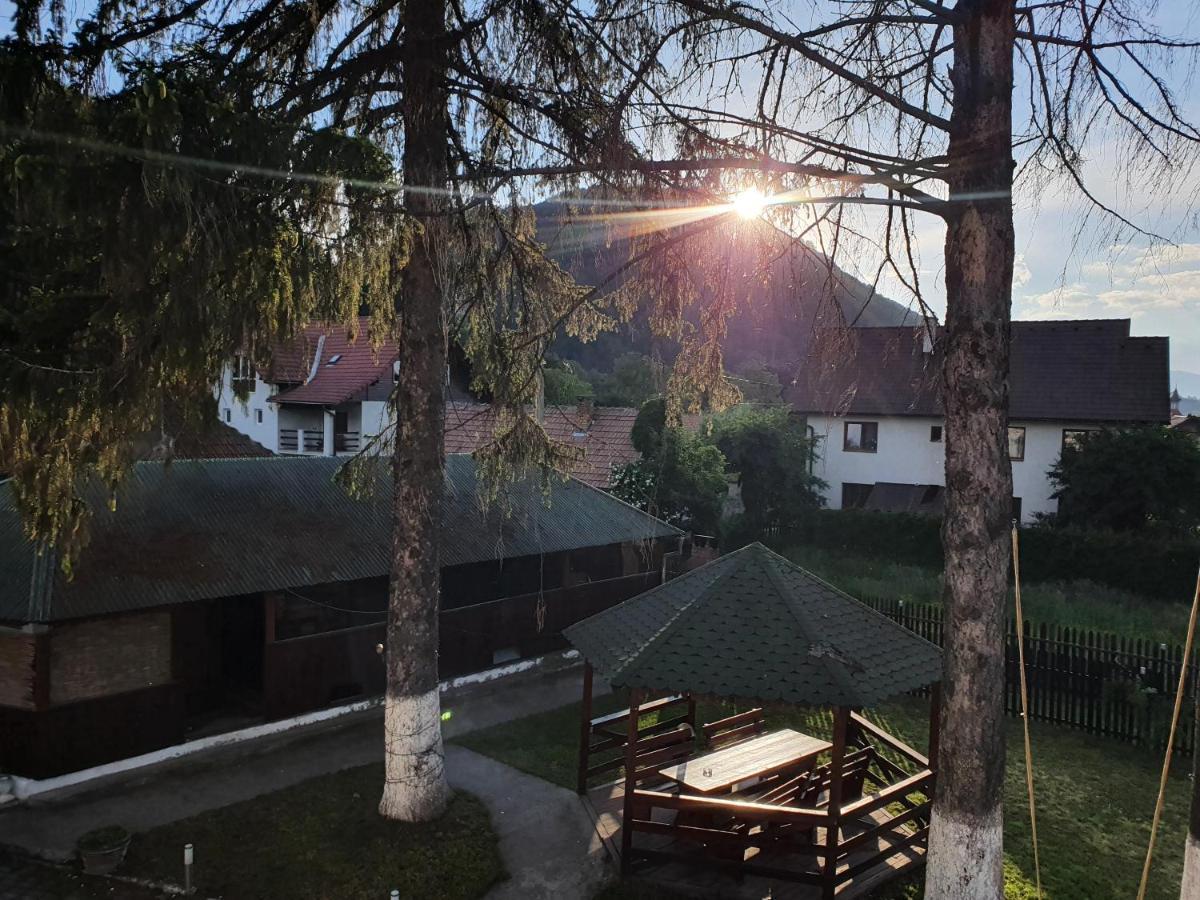 Vila Codreanu Бран Екстер'єр фото