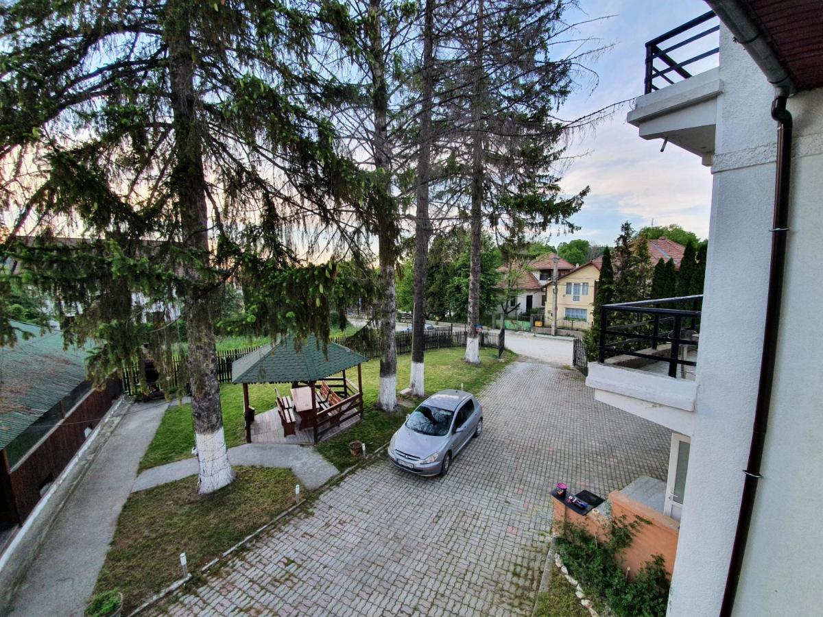 Vila Codreanu Бран Екстер'єр фото